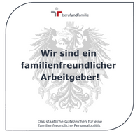 Mitarbeiter bei der Arbeit an einem Laptop, unterstützt durch die flexiblen Arbeitsmodelle und technologische Ausstattung von CANCOM Austria.