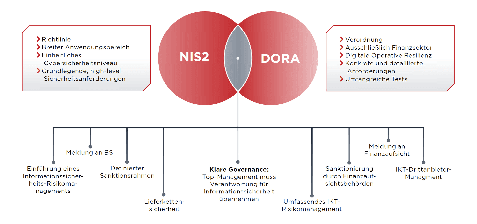 Many regulations, many similarities – as illustrated here by the examples of NIS2 and DORA.