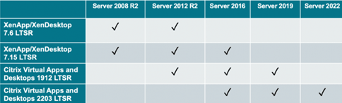 Table with checklist items for checking the Citrix infrastructure services.