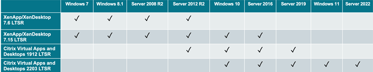 Table with checkmarks for Citrix Infrastructure Services.